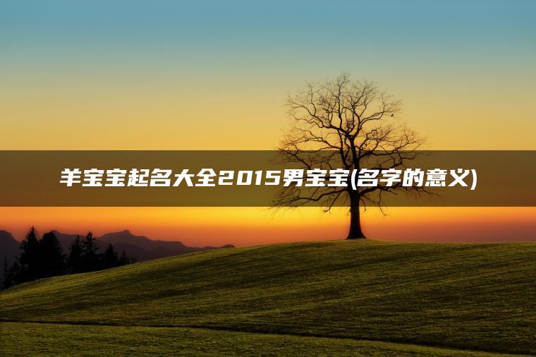 羊宝宝起名大全2015男宝宝(名字的意义)