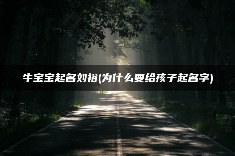 牛宝宝起名刘裕(为什么要给孩子起名字)