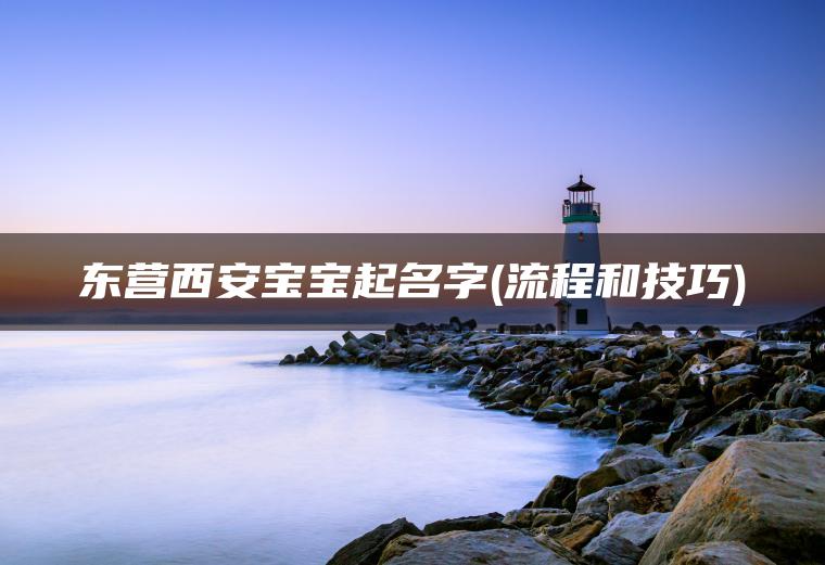 东营西安宝宝起名字(流程和技巧)