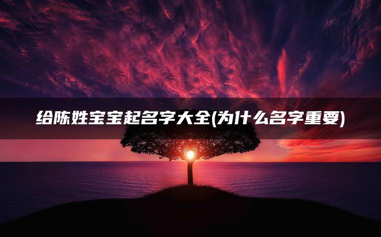 给陈姓宝宝起名字大全(为什么名字重要)