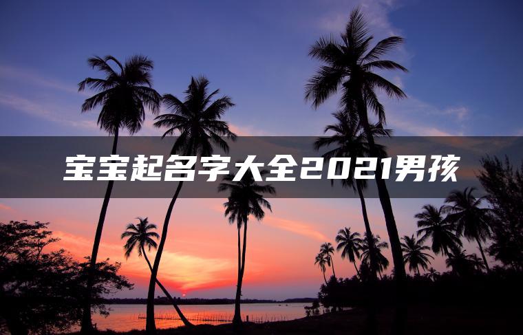 宝宝起名字大全2021男孩