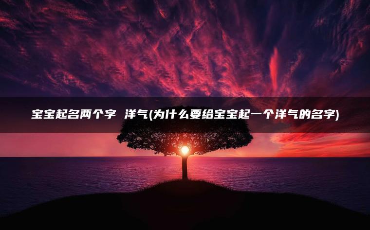 宝宝起名两个字 洋气(为什么要给宝宝起一个洋气的名字)