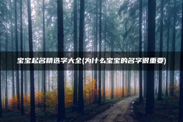 宝宝起名精选字大全(为什么宝宝的名字很重要)