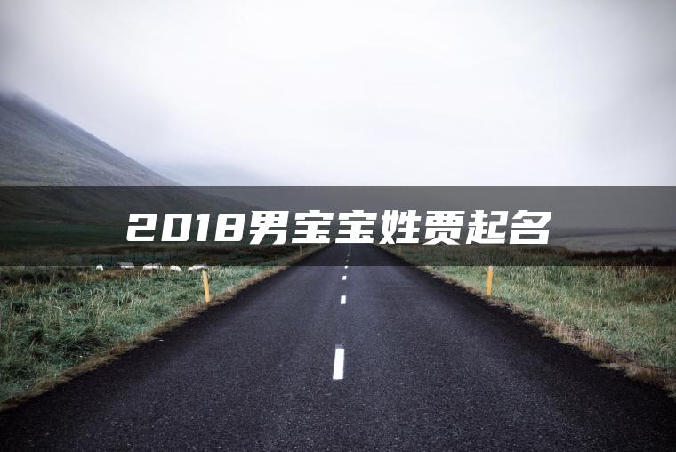 2018男宝宝姓贾起名