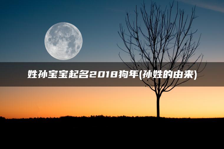 姓孙宝宝起名2018狗年(孙姓的由来)