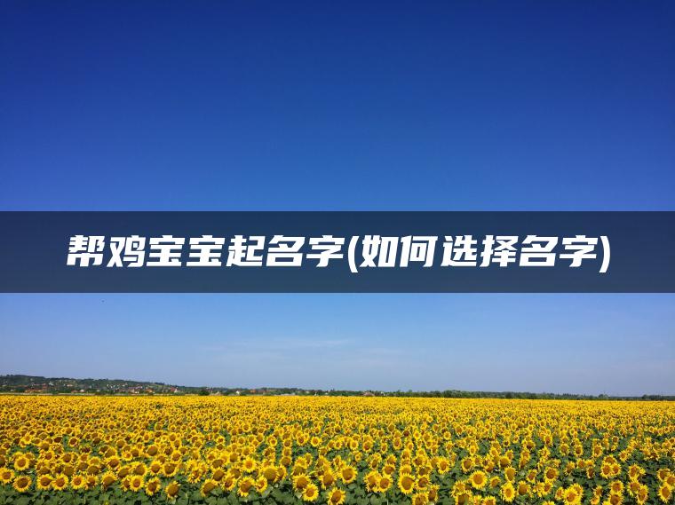 帮鸡宝宝起名字(如何选择名字)