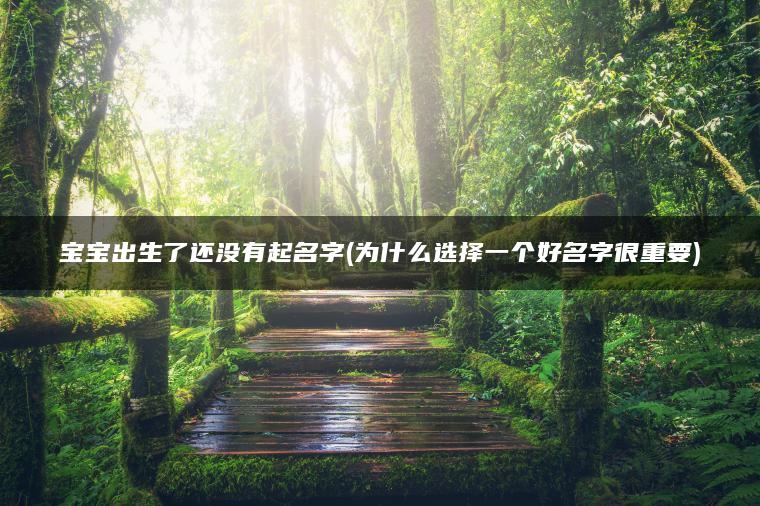 宝宝出生了还没有起名字(为什么选择一个好名字很重要)