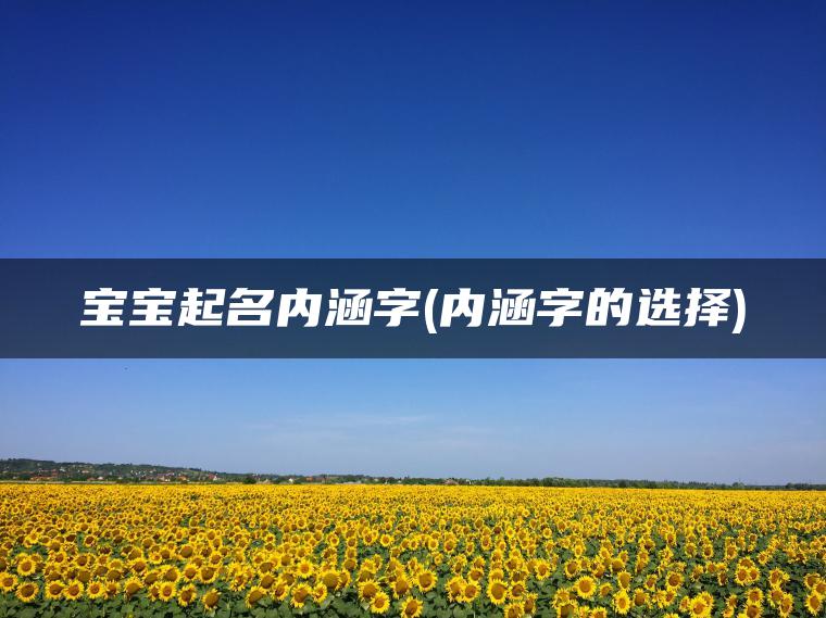 宝宝起名内涵字(内涵字的选择)