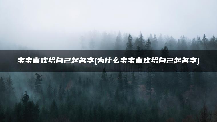 宝宝喜欢给自己起名字(为什么宝宝喜欢给自己起名字)