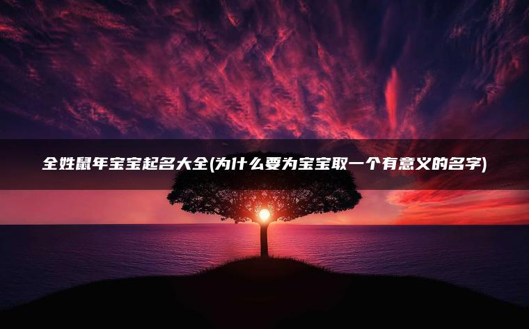 全姓鼠年宝宝起名大全(为什么要为宝宝取一个有意义的名字)