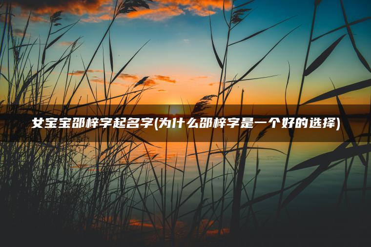 女宝宝邵梓字起名字(为什么邵梓字是一个好的选择)