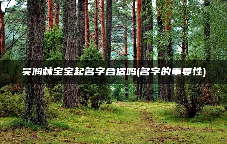 吴润林宝宝起名字合适吗(名字的重要性)