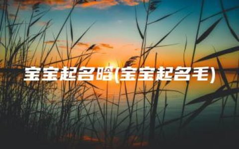 宝宝起名晗(宝宝起名毛)