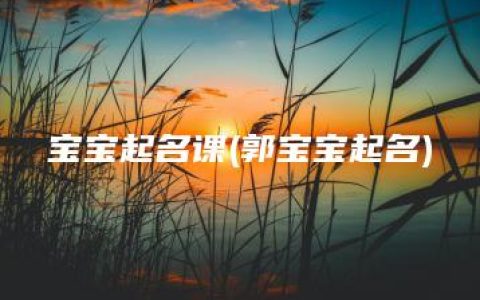 宝宝起名课(郭宝宝起名)