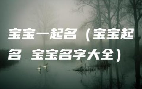 宝宝一起名（宝宝起名 宝宝名字大全）