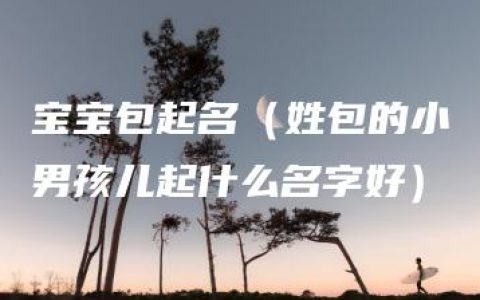 宝宝包起名（姓包的小男孩儿起什么名字好）