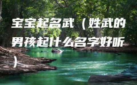 宝宝起名武（姓武的男孩起什么名字好听）