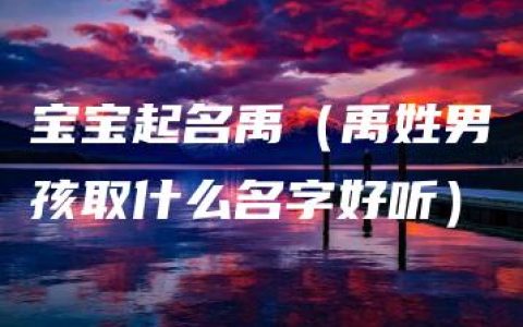 宝宝起名禹（禹姓男孩取什么名字好听）