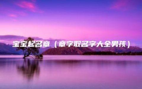 宝宝起名章（章字取名字大全男孩）