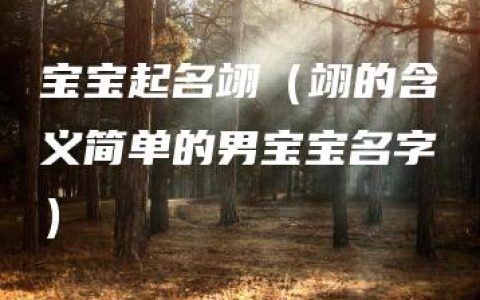 宝宝起名翊（翊的含义简单的男宝宝名字）