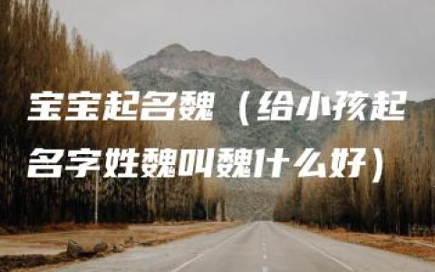 宝宝起名魏（给小孩起名字姓魏叫魏什么好）