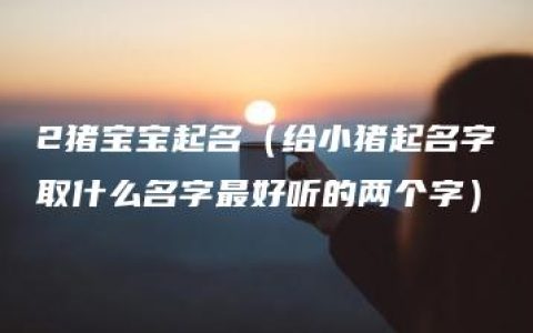 2猪宝宝起名（给小猪起名字取什么名字最好听的两个字）