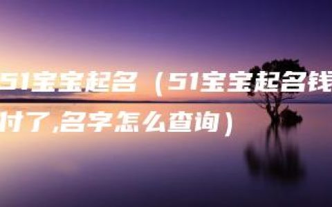 51宝宝起名（51宝宝起名钱付了,名字怎么查询）