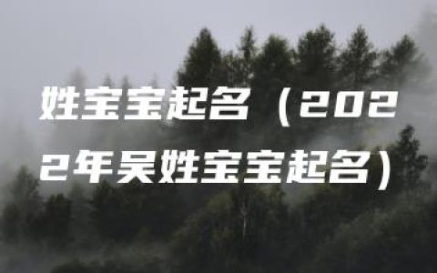 姓宝宝起名（2022年吴姓宝宝起名）