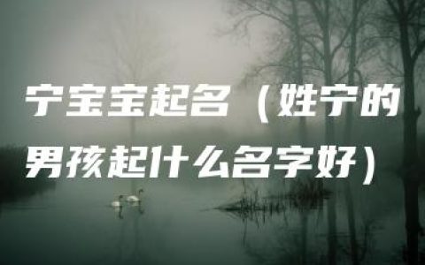 宁宝宝起名（姓宁的男孩起什么名字好）