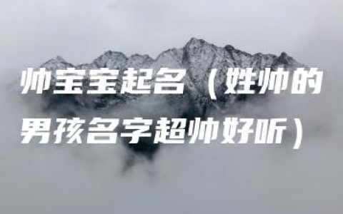 帅宝宝起名（姓帅的男孩名字超帅好听）