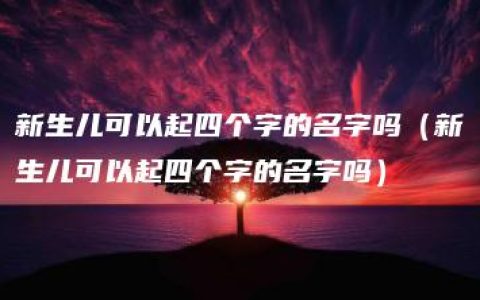 新生儿可以起四个字的名字吗（新生儿可以起四个字的名字吗）