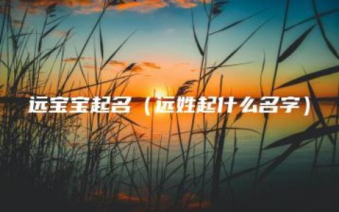 远宝宝起名（远姓起什么名字）