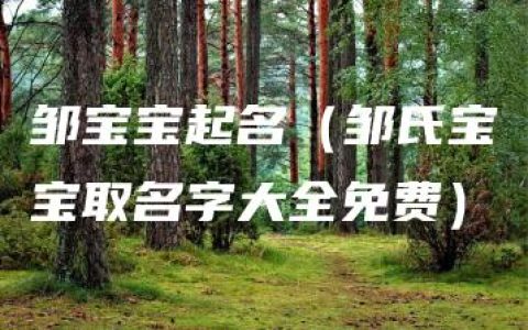 邹宝宝起名（邹氏宝宝取名字大全免费）