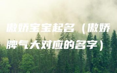 傲娇宝宝起名（傲娇脾气大对应的名字）