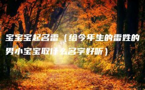 宝宝宝起名雷（给今年生的雷姓的男小宝宝取什么名字好听）