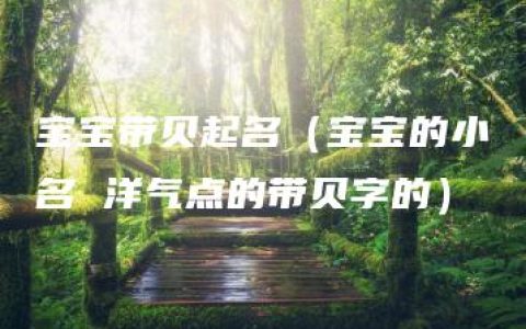 宝宝带贝起名（宝宝的小名 洋气点的带贝字的）