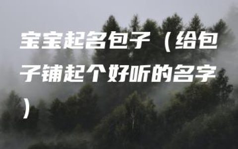 宝宝起名包子（给包子铺起个好听的名字）