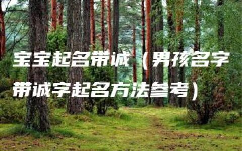 宝宝起名带诚（男孩名字带诚字起名方法参考）