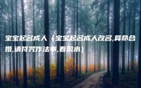 宝宝起名成人（宝宝起名成人改名,算命合婚,请符咒作法事,看风水）