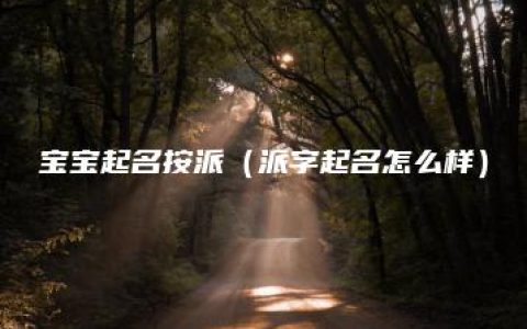 宝宝起名按派（派字起名怎么样）