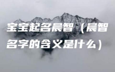 宝宝起名晨智（晨智名字的含义是什么）