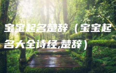 宝宝起名楚辞（宝宝起名大全诗经,楚辞）