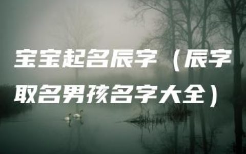 宝宝起名辰字（辰字取名男孩名字大全）