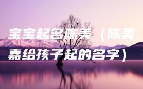 宝宝起名陈美（陈美嘉给孩子起的名字）