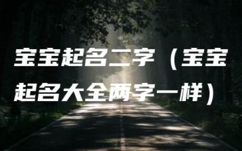 宝宝起名二字（宝宝起名大全两字一样）