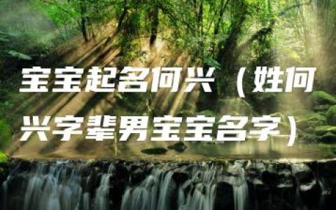 宝宝起名何兴（姓何兴字辈男宝宝名字）