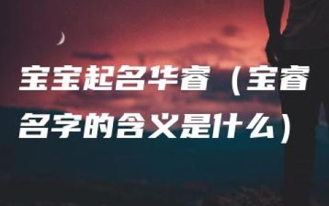 宝宝起名华睿（宝睿名字的含义是什么）