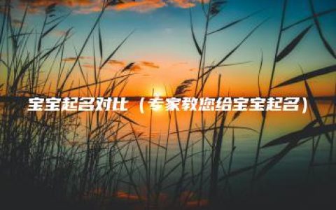 宝宝起名对比（专家教您给宝宝起名）