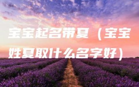 宝宝起名带夏（宝宝姓夏取什么名字好）