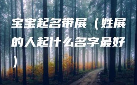 宝宝起名带展（姓展的人起什么名字最好）